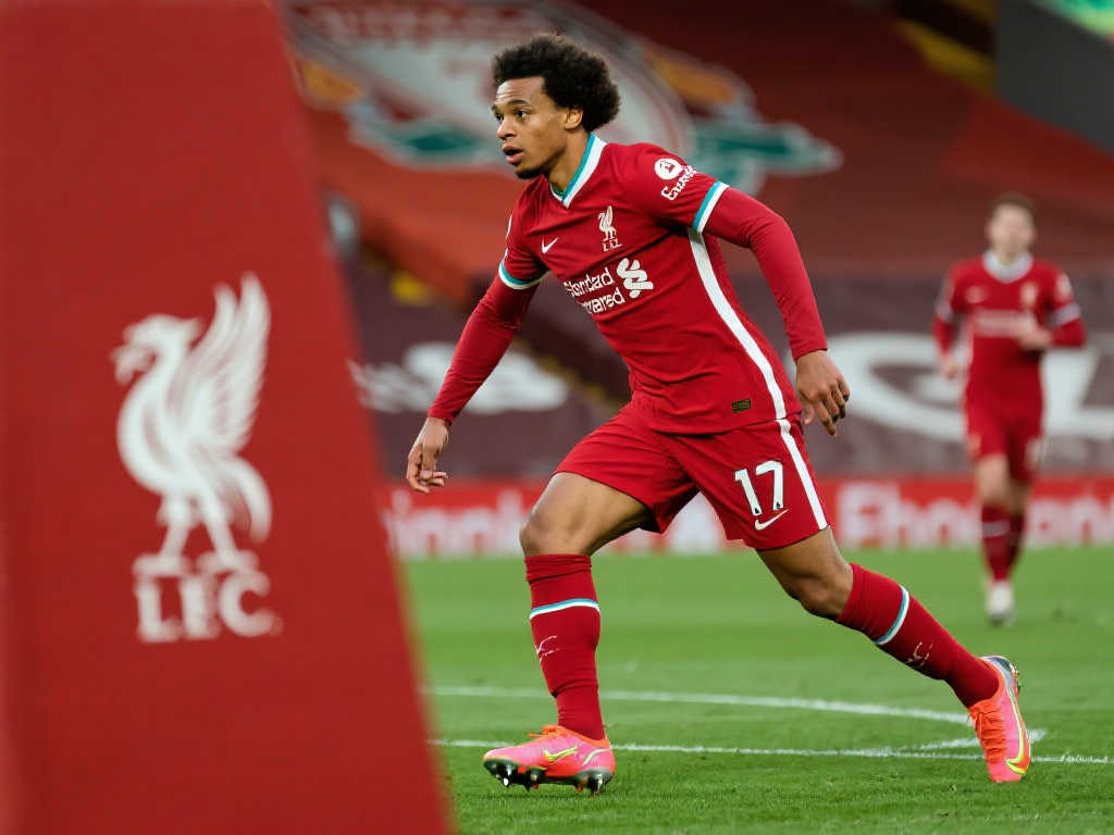 了他们对弱 了他们对弱